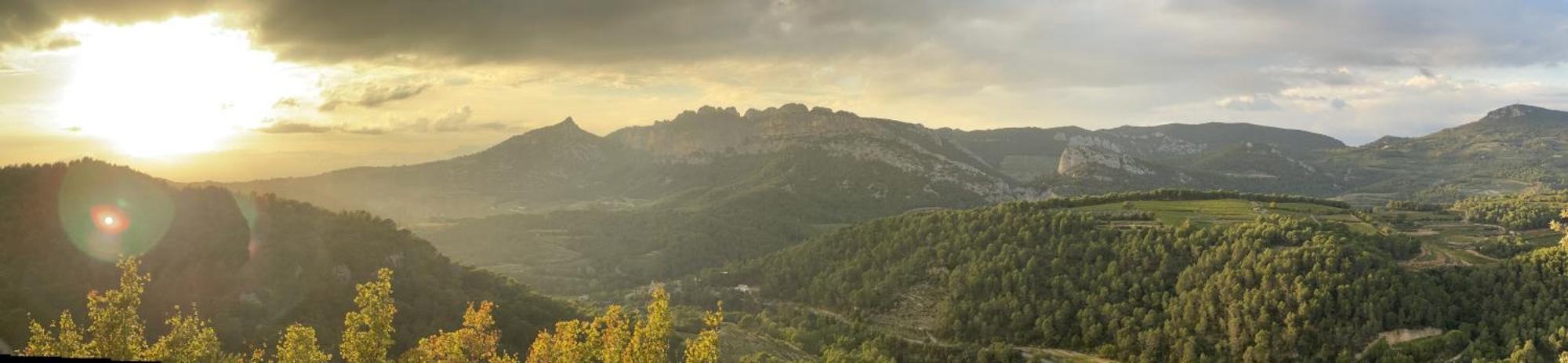 Le Chant Des Cigales LʼIsle-sur-la-Sorgue Εξωτερικό φωτογραφία
